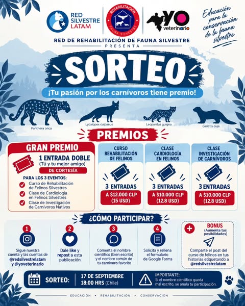 Imagen de 🦊🐆 ¡SORTEO POR LA CONSERVACIÓN!

Desde nuestra Red d