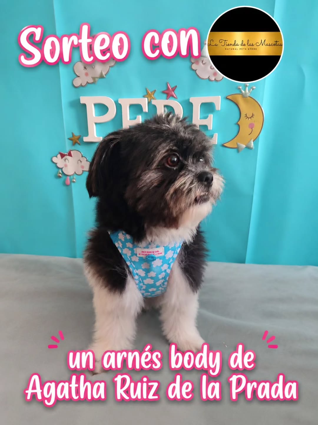 Imagen de 🎉 ¡SORTEO! 🎉

Queremos agradeceros todo el apoyo con 