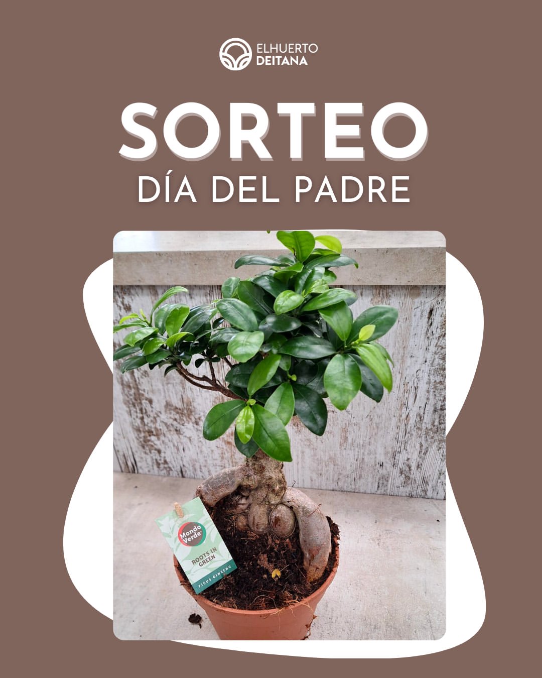 Imagen de 💗 Nuestros padres siempre están ahí cuando los necesita