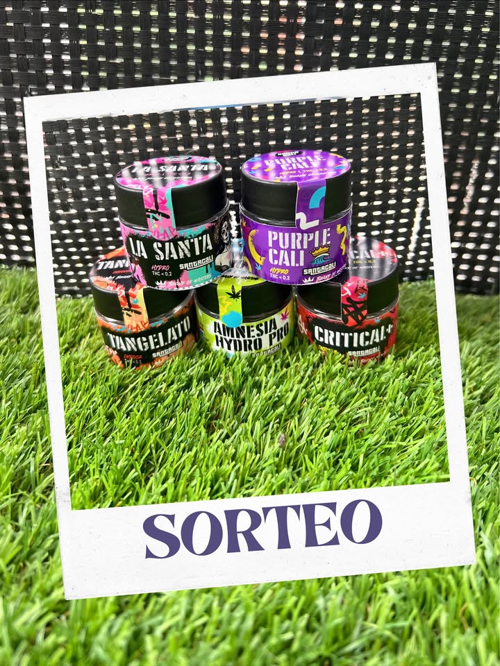 Imagen de 💥 ¡SUPER SORTEO! 
💚Con mis amigos de @santa_cali_ofic