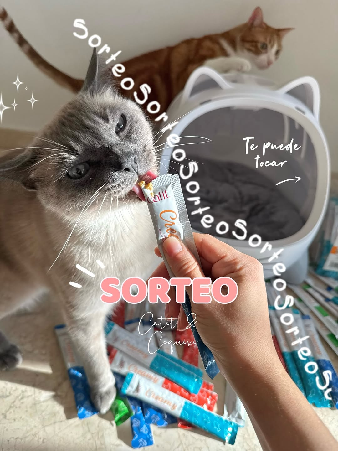 Imagen de SORTEO ✨

Como os gustó tanto el nuevo transportín de Ca