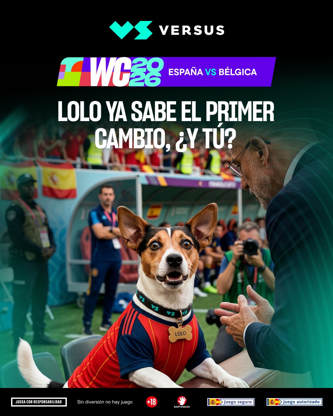 Imagen de ⚽ Cuando juega España, todos somos Lolo ⚽
España