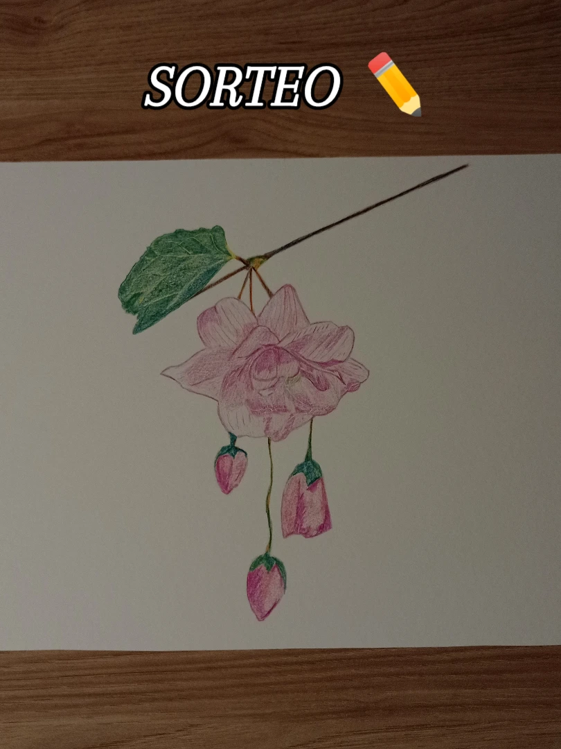 Imagen de Vista la buena acogida del otro sorteo del dibujo, me animo 