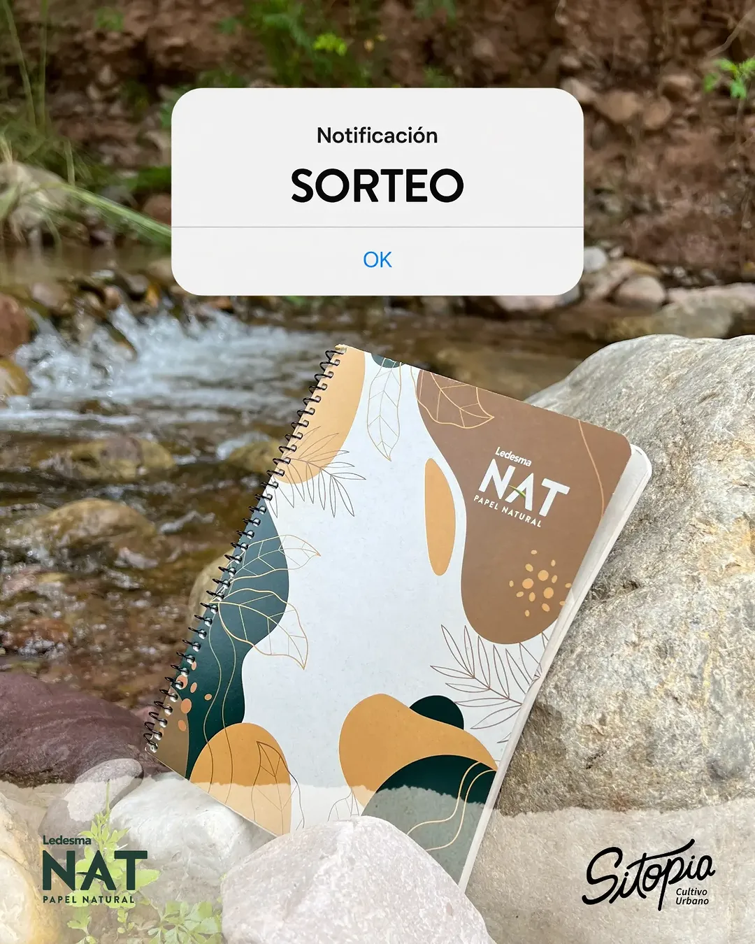 Imagen de 🌱 SORTEO LEDESMA NAT + SITOPIA🌱

Tenemos ganas de comp