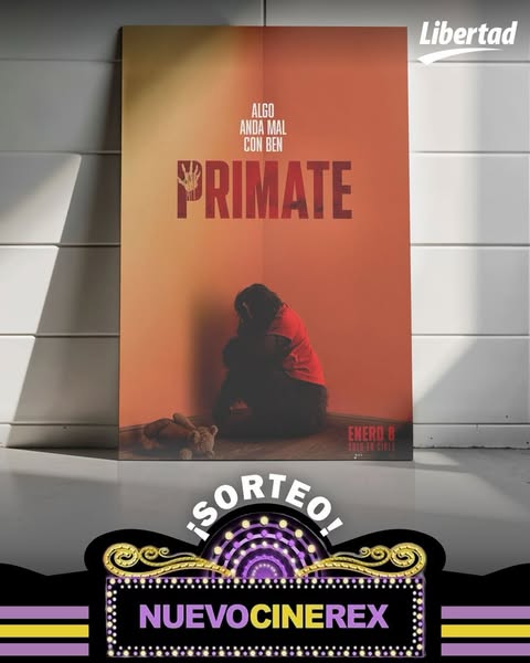 Imagen de ¡EL LIBERAL TE REGALA ENTRADAS PARA EL @cinerexsgo! 🥳

P