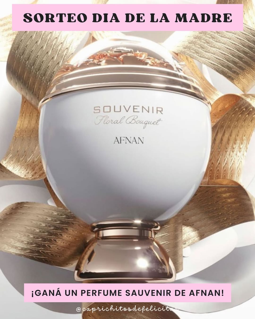 Imagen de 🌸 SORTEO DÍA DE LA MADRE 🌸
¡Ganá un perfume AFNF S