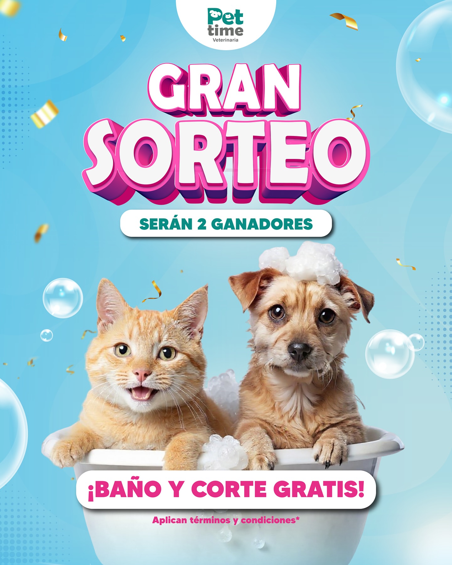 Imagen de 🎉✨ ¡SORTEO PET TIME! ✨🎉 FECHA DE SORTEO: 2 Septie