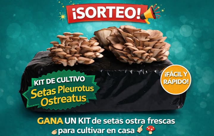 Imagen de 🍄✨ ¡SORTEO ESPECIAL! ✨🍄
GANA un Kit de Cultivo de