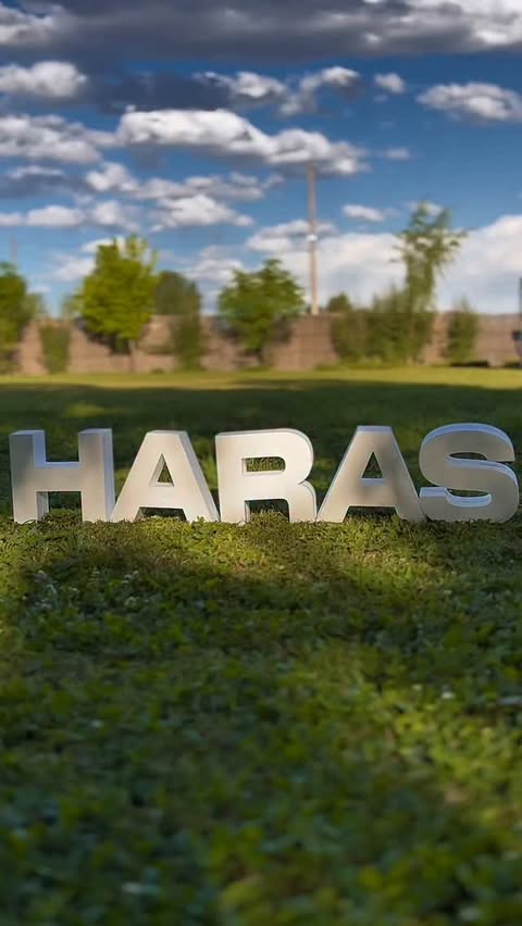 Imagen de ✨ SORTEO HARAS 24 & 31 ✨
Porque esta fiesta se vive a lo