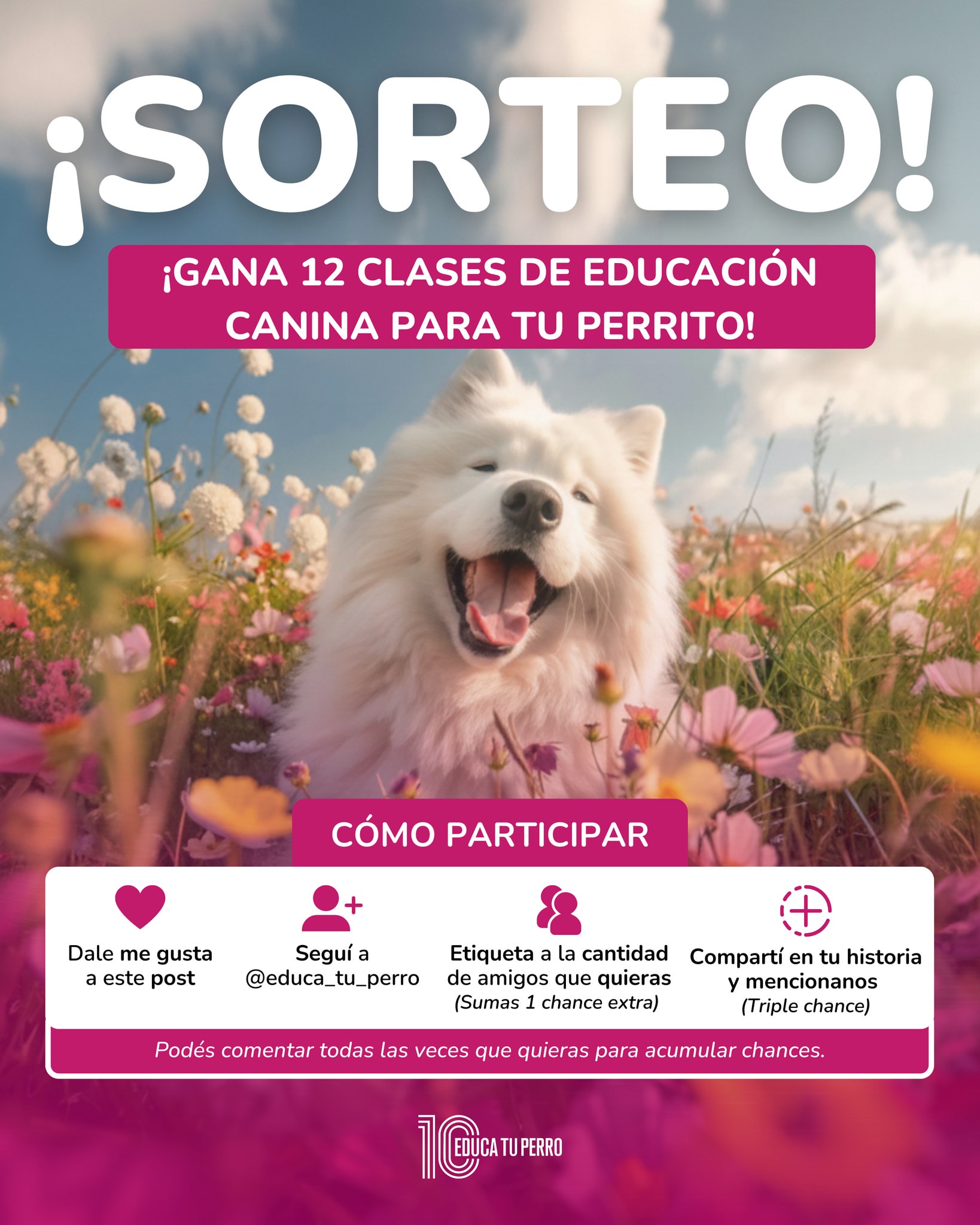 Imagen de ¡SORTEO EDUCA TU PERRO! 🎉
Estamos celebrando nuestros 1