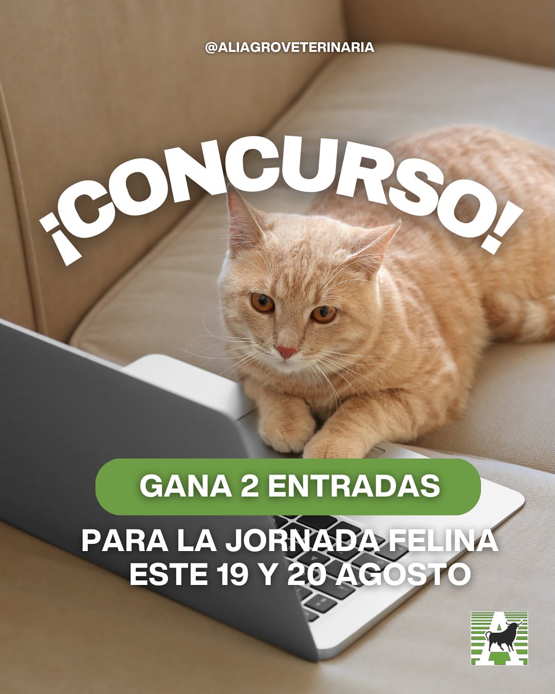Imagen de 🐾 ¡SORTEO FELINO EN ALIAGRO! 🐾
Gana 2 entradas para