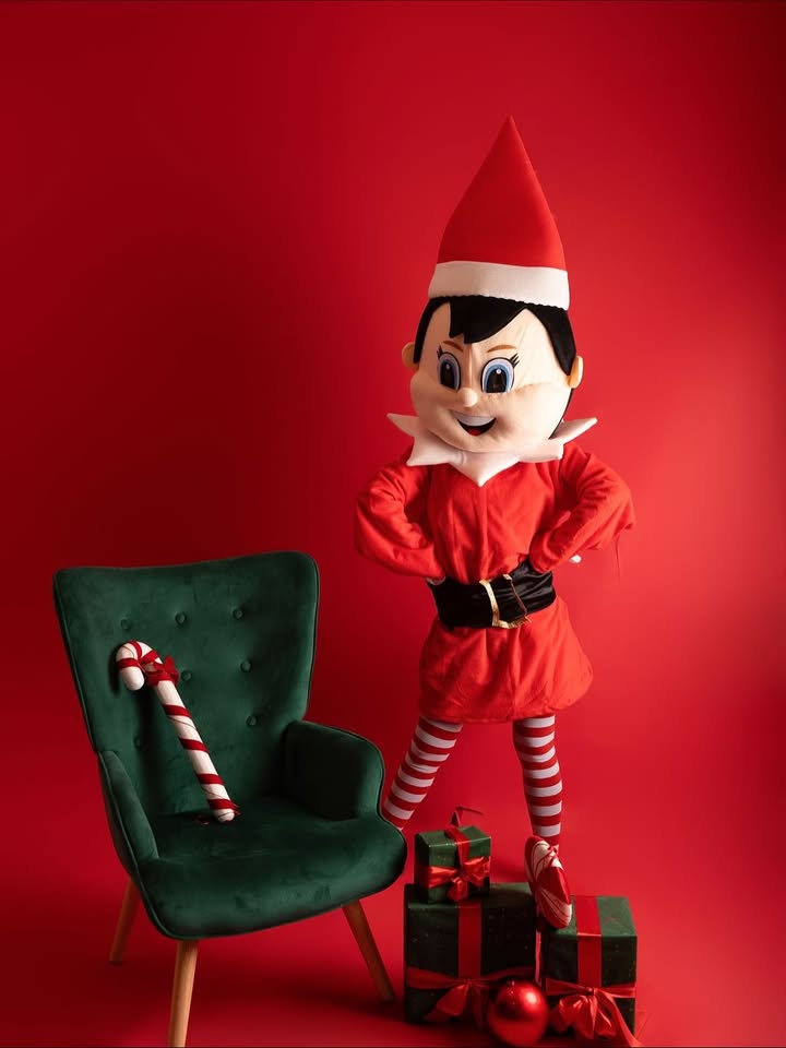 Imagen de 🎄✨ ¡SORTEO NAVIDEÑO! ✨🎄

El elfo de @gincana_elf