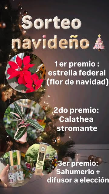 Imagen de Sorteo navideño !! Para agradecerles todo el  apoyo y compa