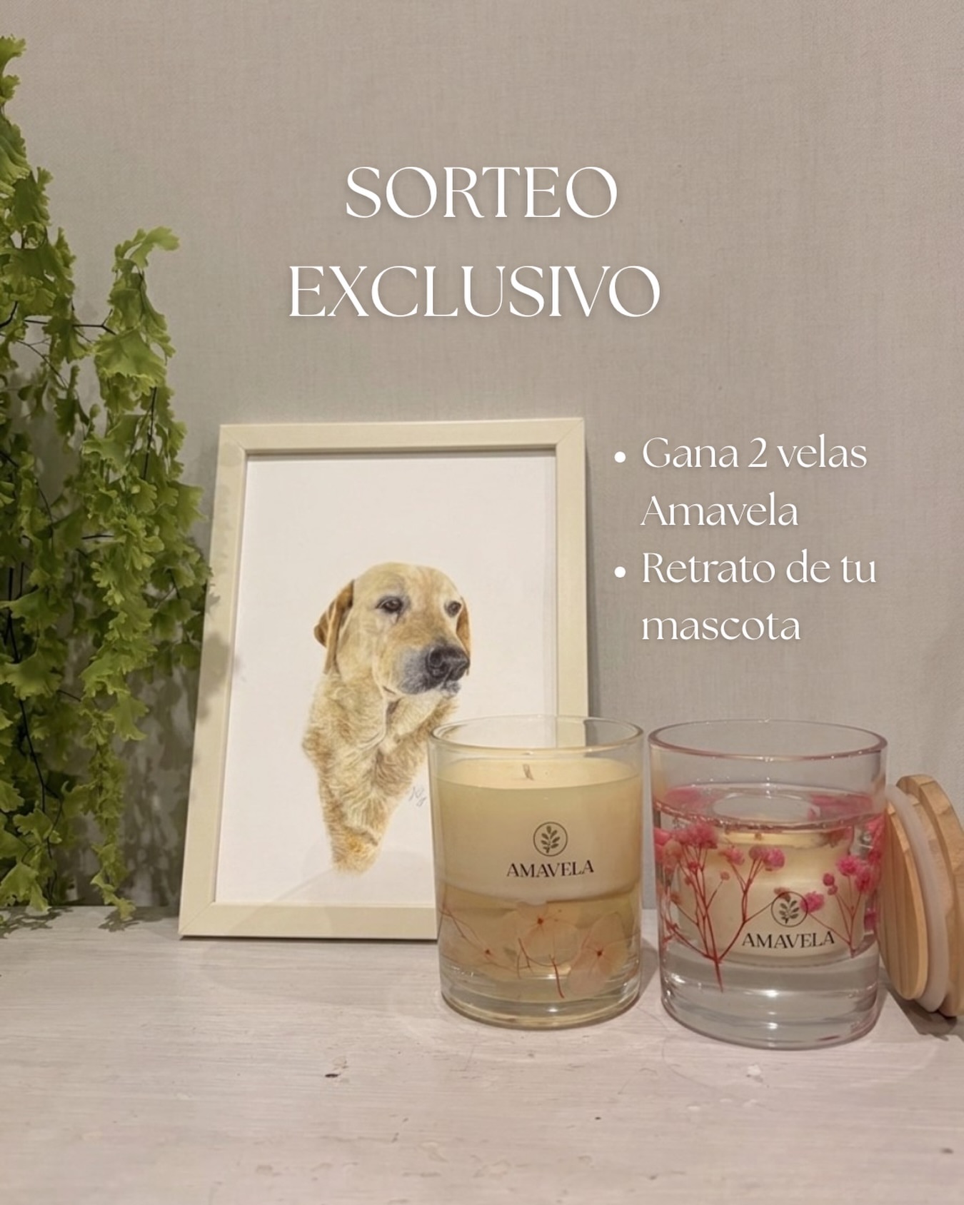 Imagen de ✨ SORTEO: AMAVELA x T_PIN_T ✨
Gana un set pensado para