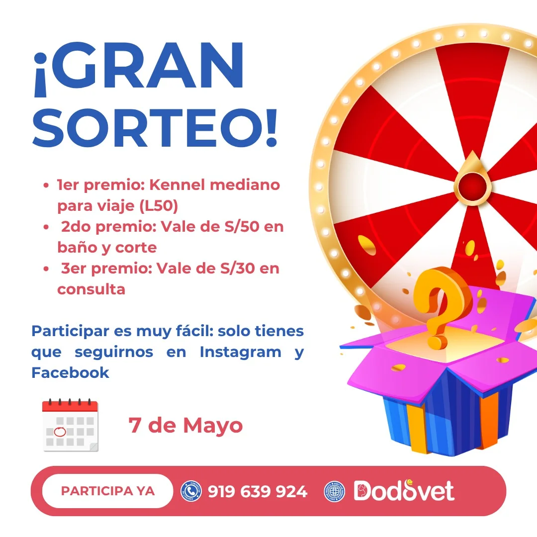 Imagen de 🎉 ¡SORTEO ESPECIAL! 🎉

Participa y gana increíbles p