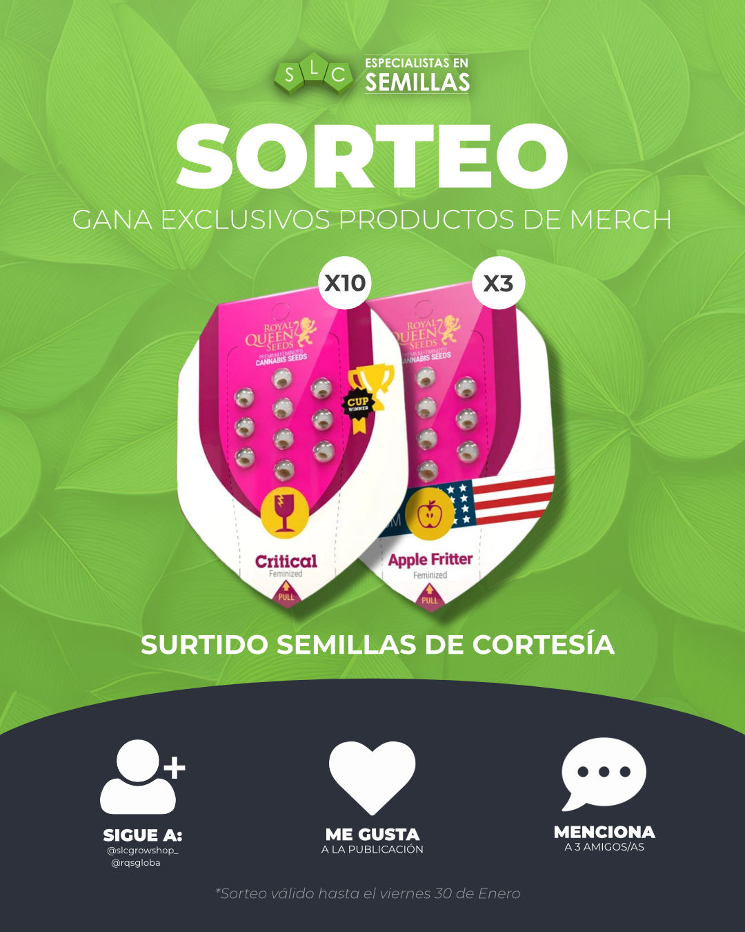 Imagen de 🌱 SORTEO ACTIVO 🌱
Gana un surtido exclusivo de semilla