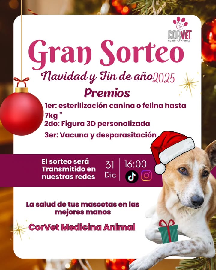 Imagen de ¡Gran Sorteo de Navidad y Fin de Año en CorVet medicina an
