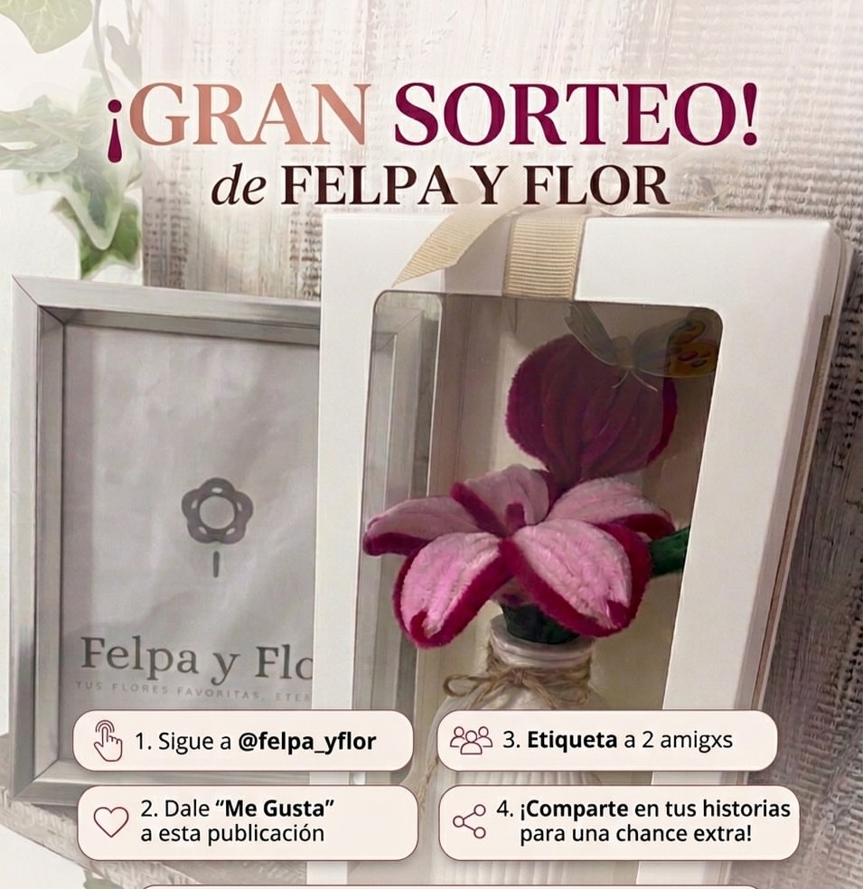 Imagen de 🌸 ¡GRAN SORTEO DE FELPA Y FLOR! 🌸
¿Querés ganarte e